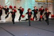 Thumbs/tn_IMG_0290.jpg