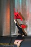 Thumbs/tn_IMG_0329.jpg
