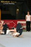 Thumbs/tn_438_3805.jpg