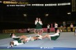 Thumbs/tn_439_3964.jpg