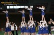Thumbs/tn_441_4142.jpg