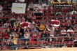 Thumbs/tn_445_4547.jpg