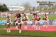 Thumbs/tn_512_1201.jpg