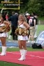 Thumbs/tn_799_9906.jpg