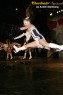 Thumbs/tn_519_1958.jpg