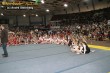 Thumbs/tn_413_1389.jpg