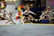 Thumbs/tn_IMG_0953.jpg