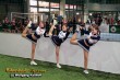 Thumbs/tn_IMG_0919.jpg