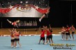 Thumbs/tn_IMG_2793.jpg