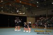 Thumbs/tn_IMG_3506.jpg