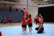 Thumbs/tn_IMG_3643.jpg