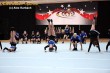 Thumbs/tn_IMG_3840.jpg
