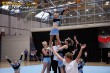 Thumbs/tn_IMG_3988.jpg