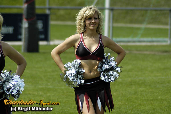 ../Images/stallions_kempten077.jpg