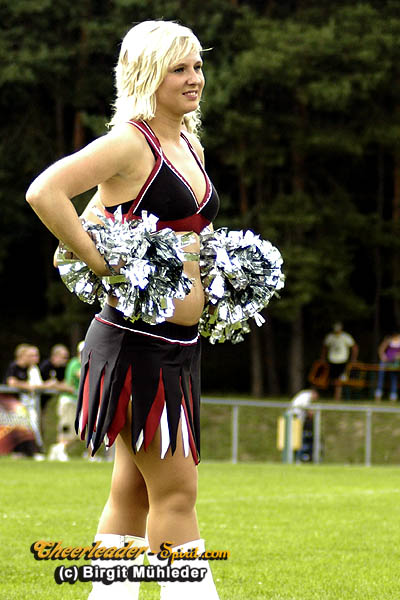 ../Images/stallions_kempten100.jpg