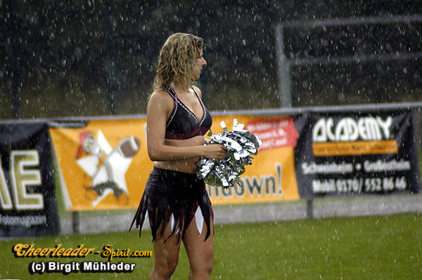 ../Images/stallions_kempten110.jpg