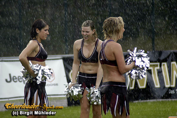 ../Images/stallions_kempten114.jpg