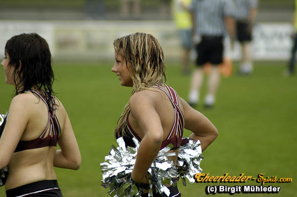 ../Images/stallions_kempten149.jpg