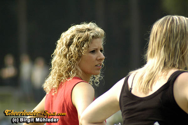 ../Images/stallions_kempten213.jpg