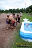 Thumbs/tn_IMG_8700.jpg