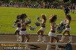 Thumbs/tn__DSC2742.jpg
