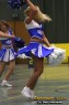 Thumbs/tn_IMG_2389.jpg