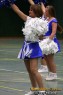 Thumbs/tn_IMG_2743.jpg