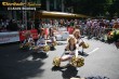 Thumbs/tn_IMG_1127.jpg