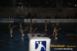 Thumbs/tn_IMG_7239.jpg