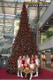 Thumbs/tn_IMG_4759.jpg