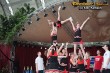 Thumbs/tn_IMG_6550.jpg