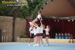 Thumbs/tn_IMG_6608.jpg