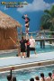 Thumbs/tn_IMG_8038.jpg