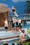 Thumbs/tn_IMG_8051.jpg