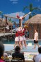 Thumbs/tn_IMG_8100.jpg