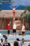 Thumbs/tn_IMG_8128.jpg