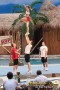 Thumbs/tn_IMG_8132.jpg