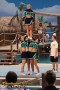 Thumbs/tn_IMG_8227.jpg