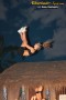 Thumbs/tn_IMG_8629.jpg