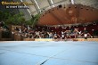 Thumbs/tn_IMG_7442.jpg