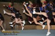Thumbs/tn_IMG_7945.jpg