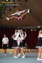 Thumbs/tn_IMG_8088.jpg