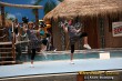 Thumbs/tn_IMG_8124.jpg