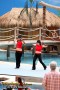 Thumbs/tn_IMG_8153.jpg