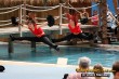 Thumbs/tn_IMG_8158.jpg