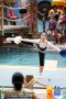 Thumbs/tn_IMG_8165.jpg