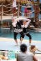 Thumbs/tn_IMG_8168.jpg