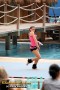 Thumbs/tn_IMG_8177.jpg