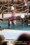 Thumbs/tn_IMG_8183.jpg