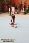 Thumbs/tn_IMG_8259.jpg